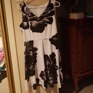 NWT New York and Company fit and flare dress